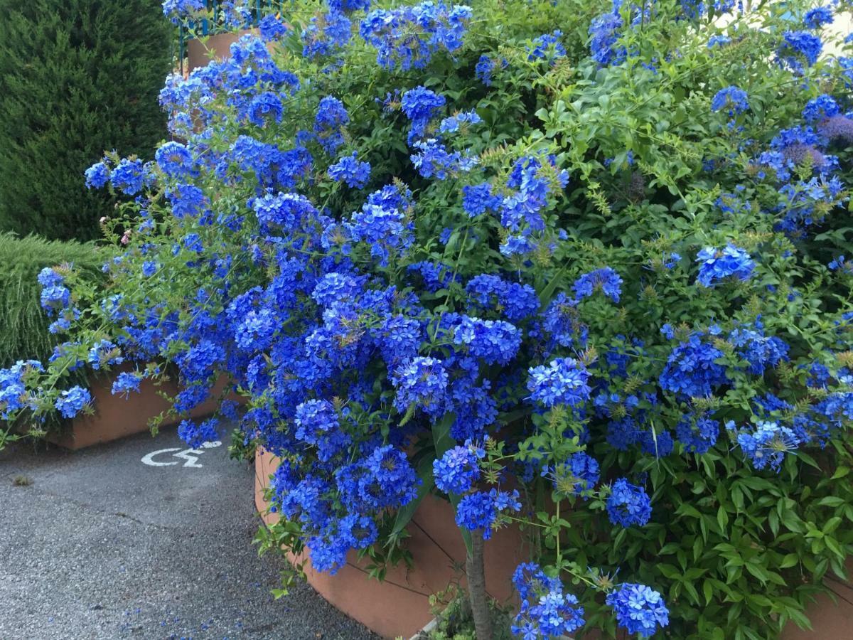 Fleur De Mai Lägenhet Roquebrune-Cap-Martin Exteriör bild